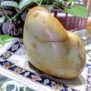 華哥头像