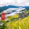 镜观天下头像
