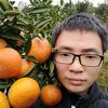 罗老实园艺头像