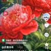做好自己加油头像