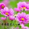 西安蓝田头像