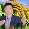 低调做人，高调做事！头像