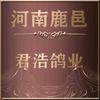君浩鸽业【主营:东德牧羊犬，元宝，圆环鸽头像