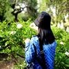 吉林阿兰头像