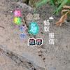 蚂蚁老六头像