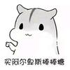 王者荣耀博少头像