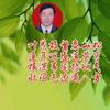 叶连根壮头像