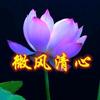 随风清心手作头像