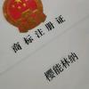 爱上樱能林纳头像