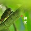 快乐老顽童头像