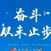 大鹏头像