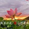 永恒的春天头像