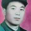松栢树头像