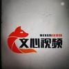 文心视野头像