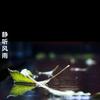 时间放过谁头像