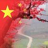香香头像
