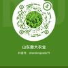 山东撒大农业头像