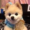 Andy头像