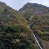 高山有美景头像