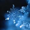 寒冰雪冷客头像