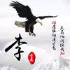 杰爱影视头像