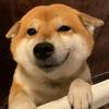 清风头像