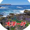 大洋一叶头像