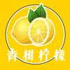 青树柠檬剪辑头像