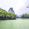 胜意🐉龙头像