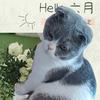 雪兔225头像