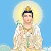 妙诸头像