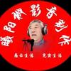 曦阳柳头像