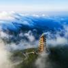 影子数码头像