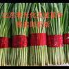 效明蔬菜头像