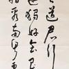 风途阁主头像