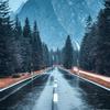 风雨人生重生头像