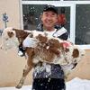 张北大宏牧业头像