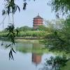 李建设头像