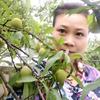 陈秀王鑫磊外婆头像