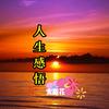 人生感悟（太阳花）头像