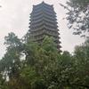 春和景明头像