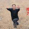 陈健：推广传统文化的人头像