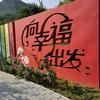 常乐（心理咨询师）头像