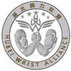 武汉腕力协会-格斗腕力馆头像