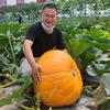 星农人飞哥头像