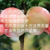 圆满菩提心（行果）头像