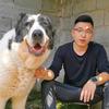 犬知识分享头像