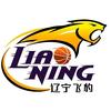 辽宁男篮头像