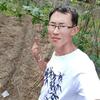 大别山新农人阿坤头像
