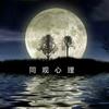 郑州同观心理—心理咨询张老师头像